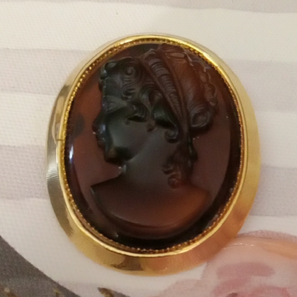 Cameo Brown and Gold Brooch